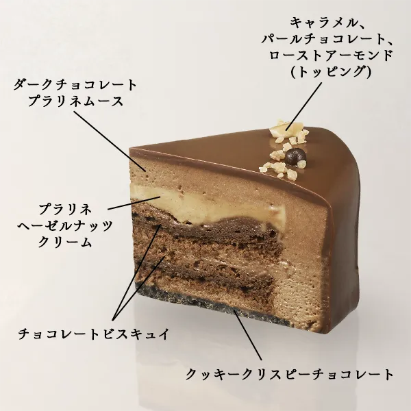 ガトー ショコラ ノワゼット