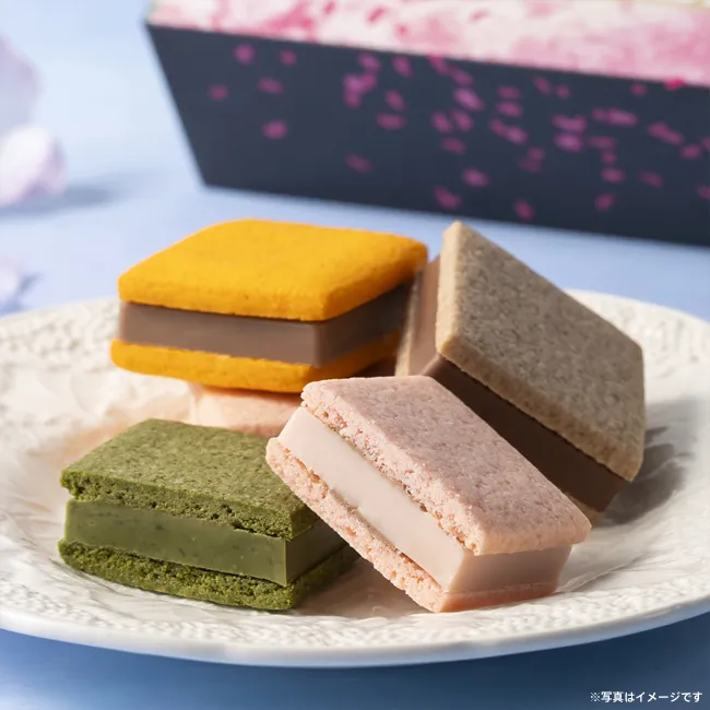 サブレショコラ 桜