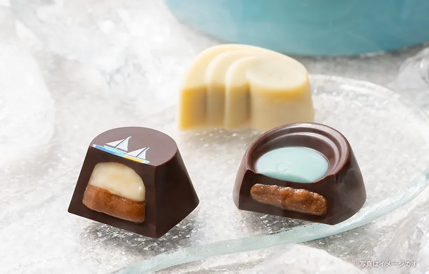 サマーコレクション