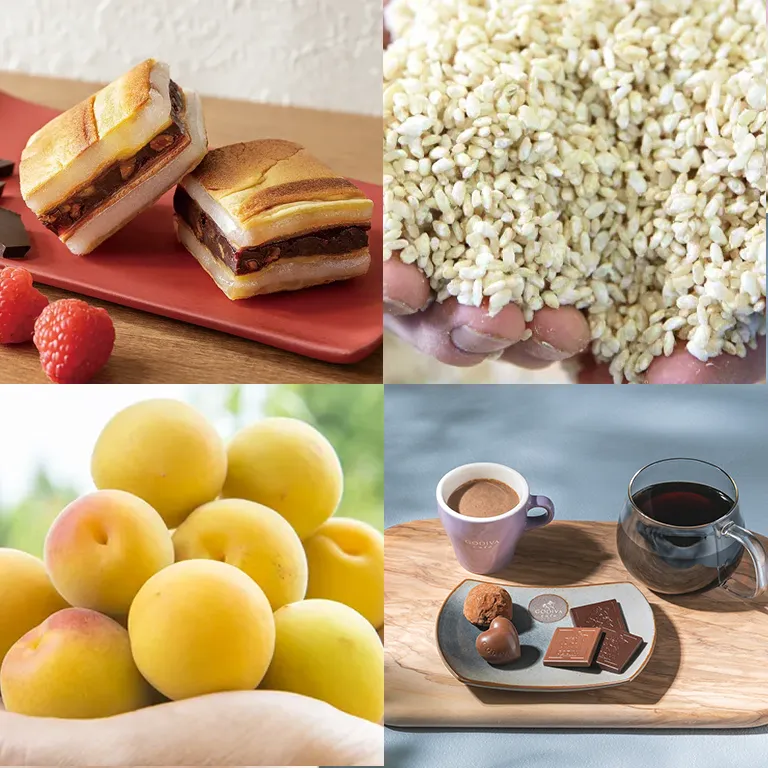 福井県との取り組み