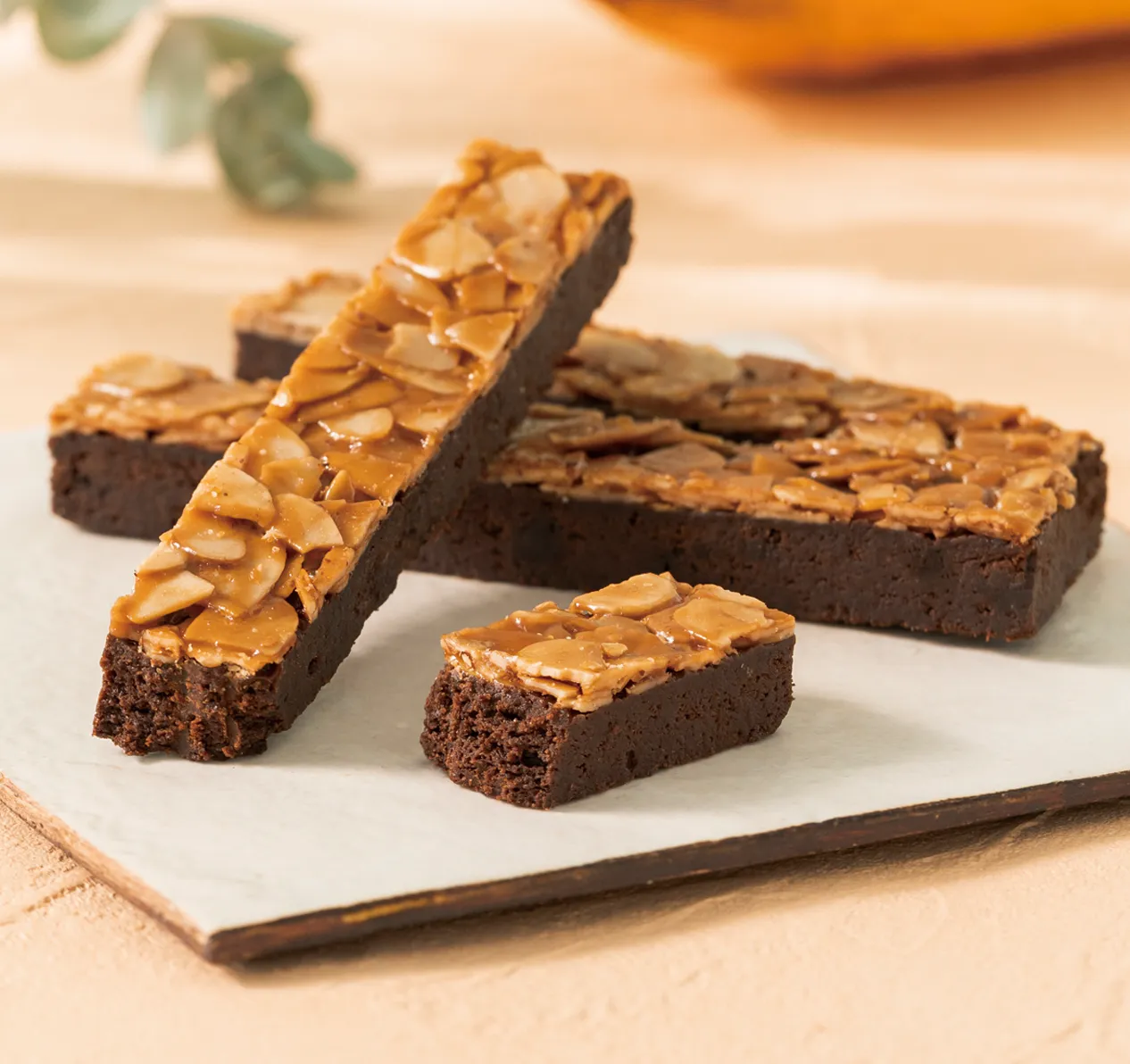 ショコラふろらんたん