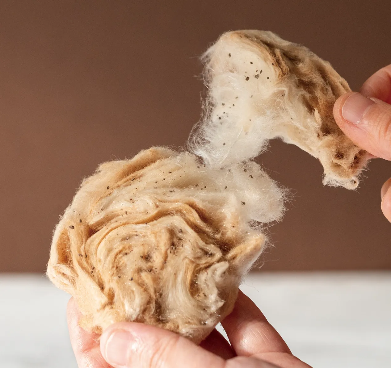 わたあめ ショコラ キャラメルサレ