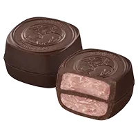 エジェリ ノア(2016)