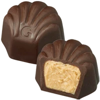 シー シェル(2008)