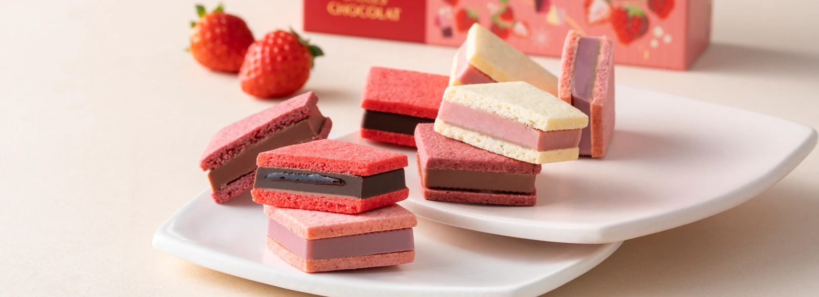 サブレショコラ