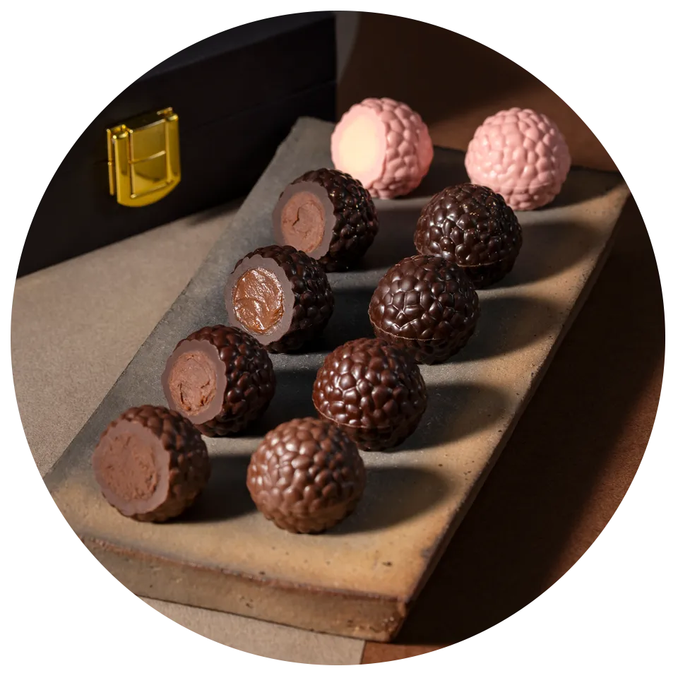 スター シェフ コレクション ジュエル オブ ジ アース