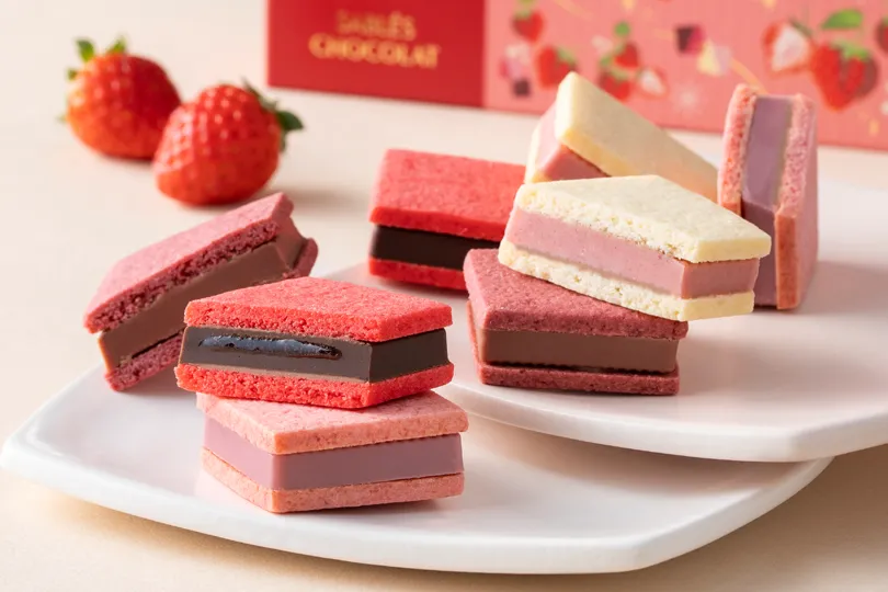 サブレショコラ