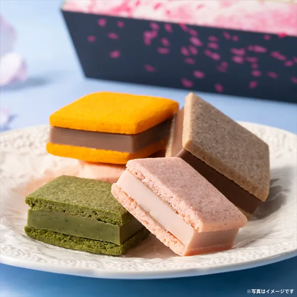 サブレショコラ 桜