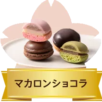 マカロンショコラ